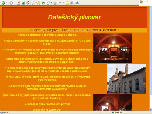 referenční práce
